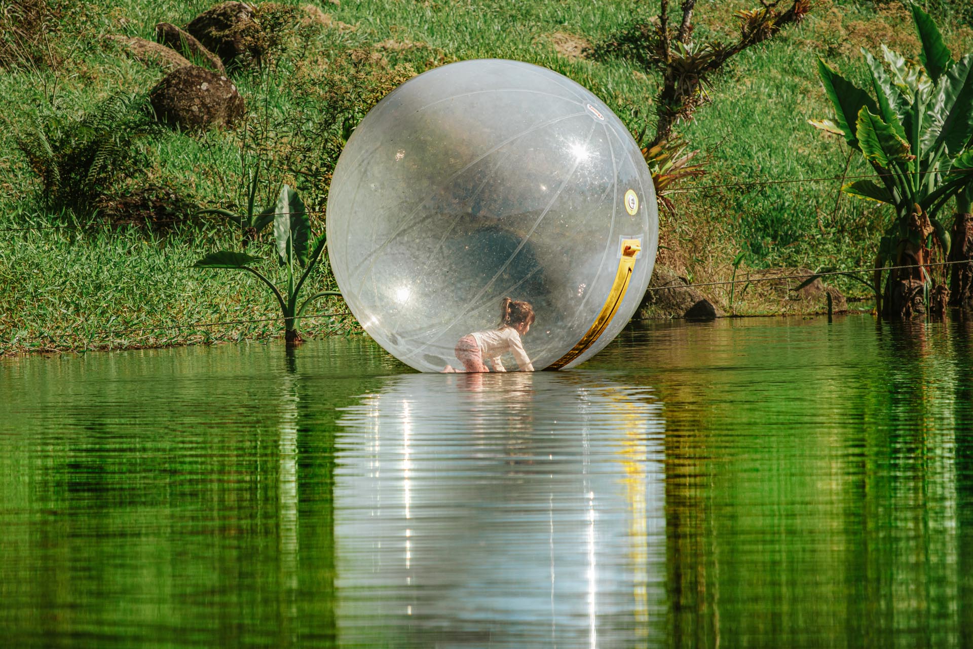 Bolha Humana