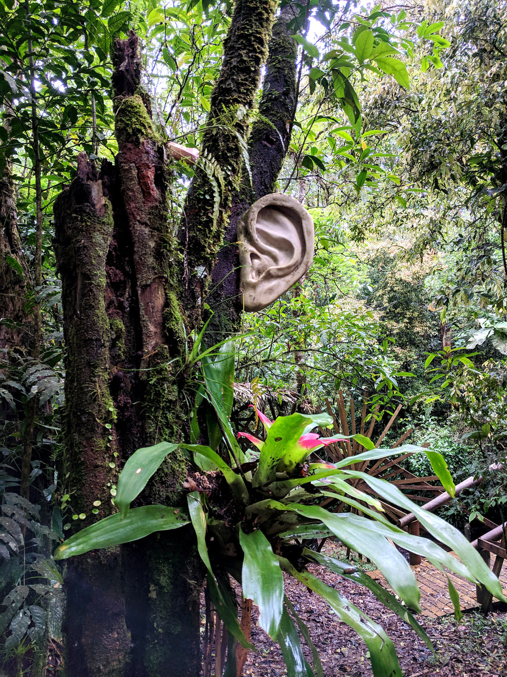 Pacote Aventura - Inteira