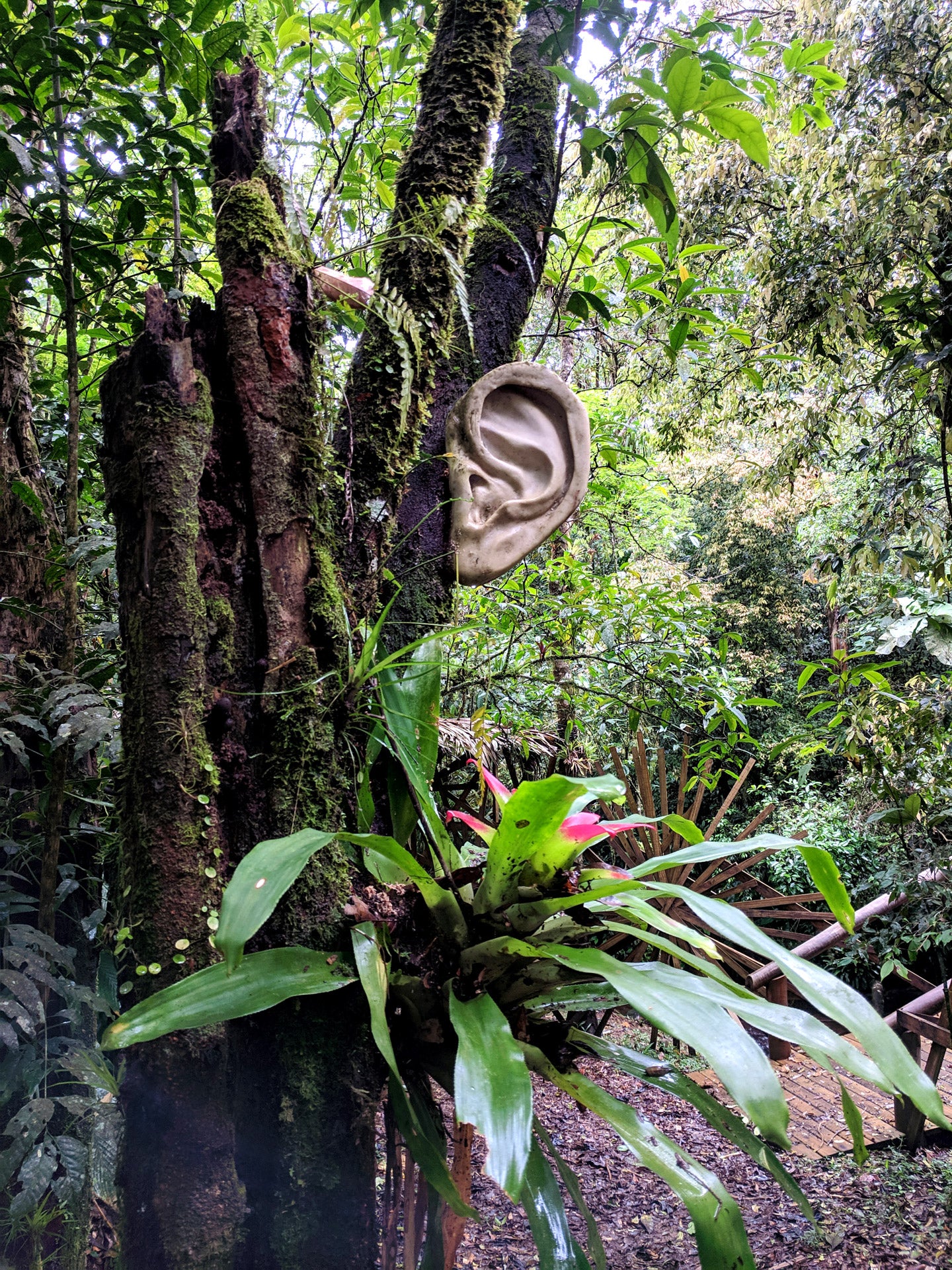 Pacote Aventura - Inteira