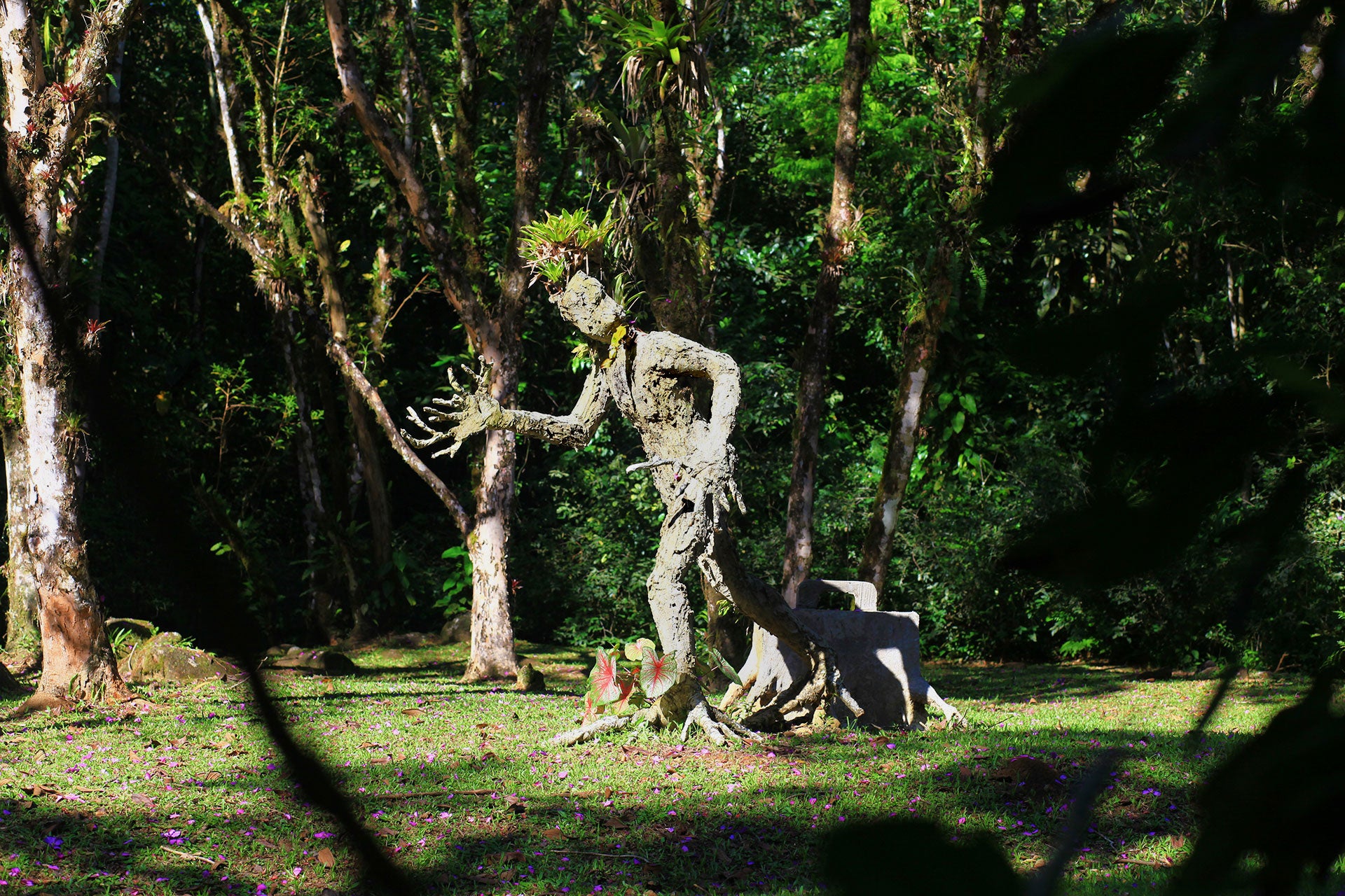 Pacote Aventura - Inteira